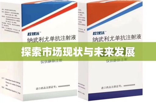 滁州探索市场现状与未来发展