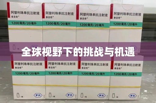 滁州全球视野下的挑战与机遇