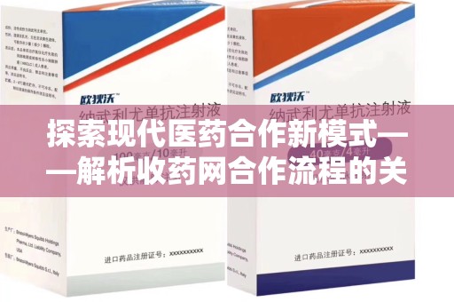 滁州探索现代医药合作新模式——解析收药网合作流程的关键要素