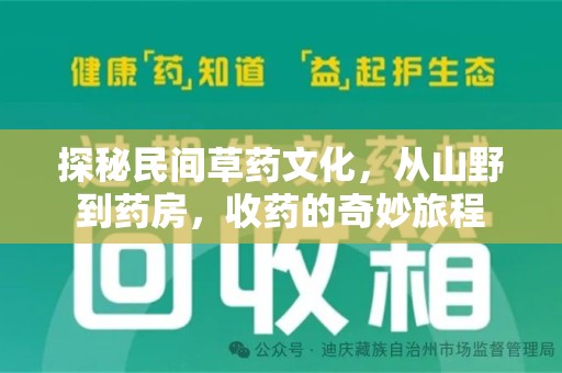 滁州探秘民间草药文化，从山野到药房，收药的奇妙旅程